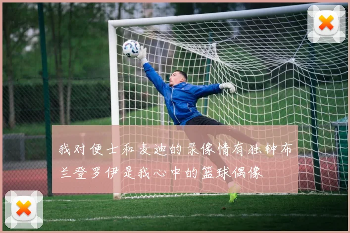 我对便士和麦迪的录像情有独钟布兰登罗伊是我心中的篮球偶像