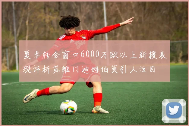 夏季转会窗口6000万欧以上新援表现评析苏维门迪姆伯莫引人注目